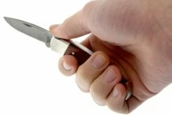 Buck 501 Squire 0501RWS-B, Palisanderholz, Mit Etui 13 Buck 501 Squire 0501RWS-B, Palisanderholz, Mit Etui -Messer Verkaufsgeschäft BUCK0501RWS B 05 buck 501 squire knife buck0501rws b 05