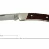 Buck 503 Prince 0503RWS-B, Palisanderholz -Messer Verkaufsgeschäft BUCK0503RWS B 01 buck 503 prince knife buck0503rws b 01