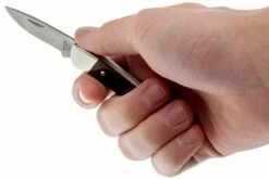 Buck 503 Prince 0503RWS-B, Palisanderholz -Messer Verkaufsgeschäft BUCK0503RWS B 05 buck 503 prince knife buck0503rws b 05