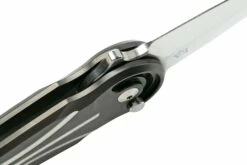 Fox Knives Saturn Satin, Titanium PVD FX-551 Ti, Taschenmesser -Messer Verkaufsgeschäft FOFX 551TI 06 fox