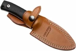 LionSteel M4-G10 M390, G10 Handle 16 LionSteel M4-G10 M390, G10 Handle -Messer Verkaufsgeschäft LI M4 G10 07 lionsteel li m4 g10 07