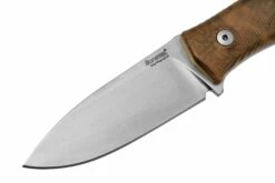 Lionsteel M4 Walnut MagnaCut M4-MC-WN, Knivesandtools Exclusive, Feststehendes Messer -Messer Verkaufsgeschäft LI M4 MC WN 03 lionsteel