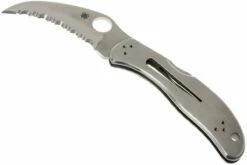 Spyderco Harpy C08S Serrated Taschenmesser